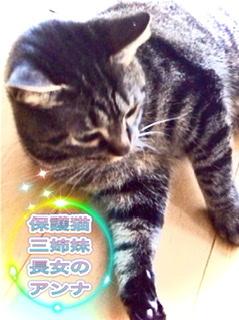 �L�[���[�h�͐M���IR4.5.4���̂̃T���l�C���摜