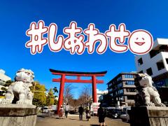 ����߂������IR4.1.10���̂̃T���l�C���摜