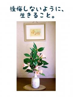 ������Ȃ��悤�ɁA�����邱�ƁB�̃T���l�C���摜