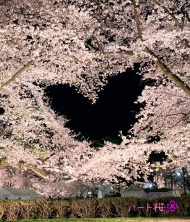 �L�����Ƃ���f���X�|�b�g�u�n�[�g���v�̃T���l�C���摜