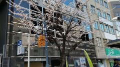 ���I�H�̃T���l�C���摜