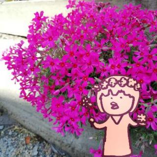 �Ԍ��t�͐_�̏j���̃T���l�C���摜