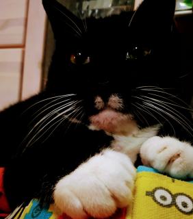 4������˂̃T���l�C���摜