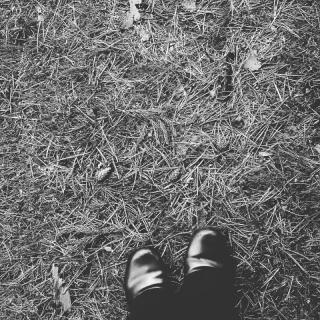 ���P�[�u���f���̃T���l�C���摜