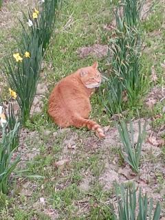 �肢�t���v�X�ɐe���ɉ�Ɓc�̃T���l�C���摜