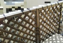 ���ʂ��Ǝv�����̃T���l�C���摜