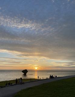 �`�������̂͂̃T���l�C���摜