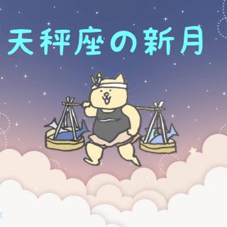 10/3 �V�����V���̃��b�Z�[�W�̃T���l�C���摜