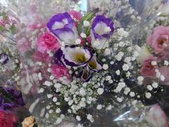Happy Birth Day�̃T���l�C���摜