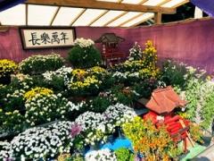 �ǂ��m�点���ȁHR4.9.08���̂̃T���l�C���摜