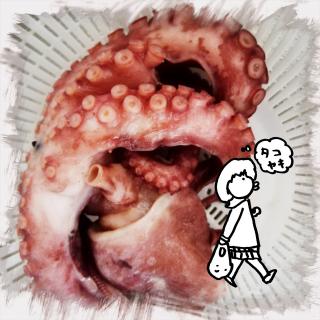 ���Đ��͂܂���ł����E�E�^�R�I�̃T���l�C���摜