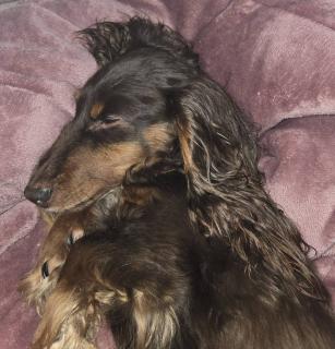 �U��9���@�^���̃T���l�C���摜