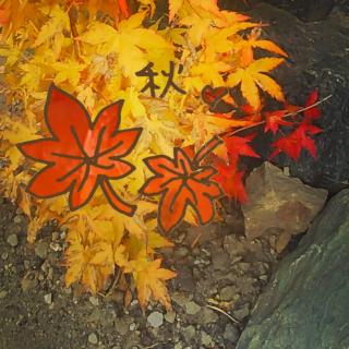 �����Ŋ�����G�ߊ�(^^)�̃T���l�C���摜