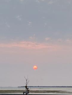 ���z���B�B�̃T���l�C���摜