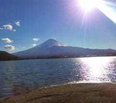 �S�̃Q�[�g���J�������̃T���l�C���摜