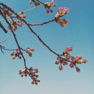 �炫�����H�����̃T���l�C���摜