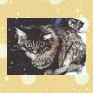 �����̂����˂��̃T���l�C���摜