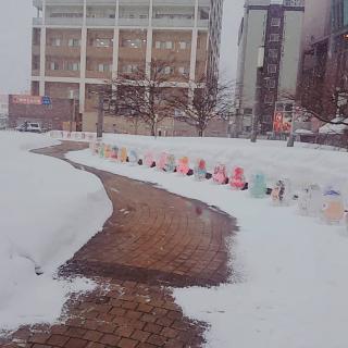 �~���y���ނ��Ɓ@(*�e�́e)�̃T���l�C���摜