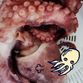 �^�R��L�Ƃ����p���[�t�[�h�̃T���l�C���摜