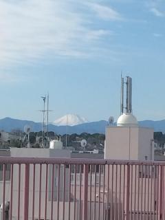 �S�̒��̐��̃T���l�C���摜