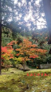 �H����̓��̏��a�啧�ւ̃T���l�C���摜