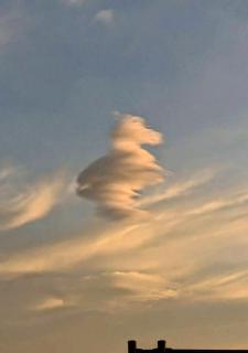 ���@�g����1���͂̃T���l�C���摜