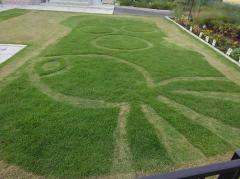 �~�X�e���A�X�H�̃T���l�C���摜