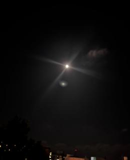 �u���肪�Ƃ��v�u������܂��v�̃T���l�C���摜