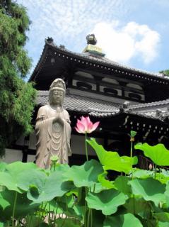 �K���ɂȂ邽�߂Ɂu��肩��肩�v�̃T���l�C���摜