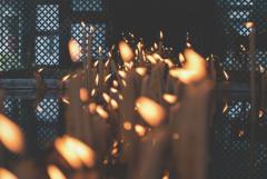 �΂̖��̃T���l�C���摜