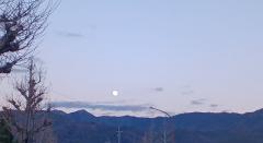 �P��14���@�����^�̃T���l�C���摜