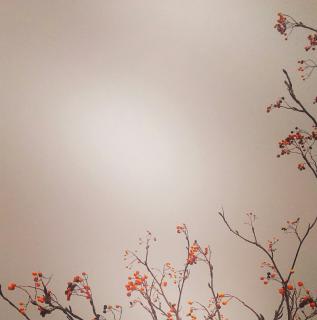 �˂��̃T���l�C���摜