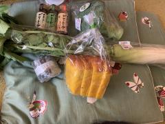 ���y�Y�����܂����̃T���l�C���摜