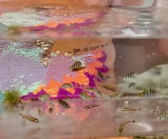 GW�ł��˂̃T���l�C���摜