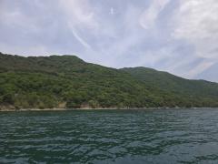 �T���̗����^�̃T���l�C���摜