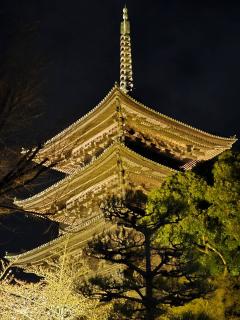 �T���̗����^�̃T���l�C���摜