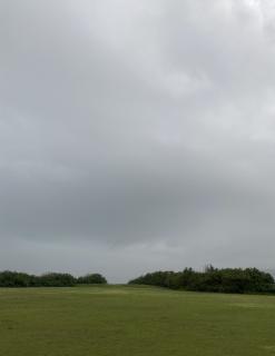 �l���ƓV�C�̃T���l�C���摜