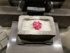 ���s���l�ɔꉲ�O�̉Ԃ̃T���l�C���摜