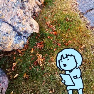 �Ǐ��Ō����悭�^���グ����@�I�̃T���l�C���摜