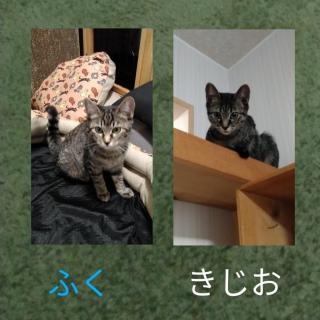 �L�肢�y9���㔼�z�̃T���l�C���摜