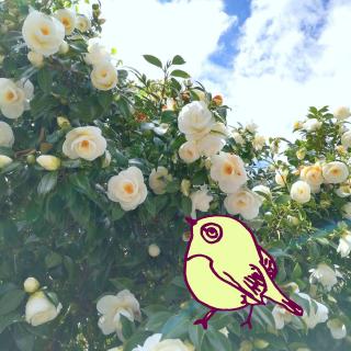 �؂ɏt�Œւ̃T���l�C���摜