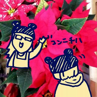 ���R�Ƃ͕K�R�H�H�s���̑I���̃T���l�C���摜