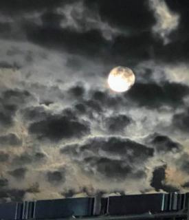 �����ƊF�����H���̃T���l�C���摜