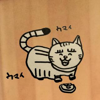 �{���ɂ������̂̓e���V���������̃T���l�C���摜