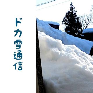 ��A��A��̓��X(�E�́E)�̃T���l�C���摜