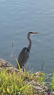 �����̃T���l�C���摜