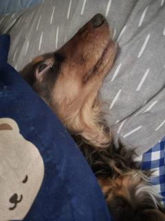 �X��24���@�����^�̃T���l�C���摜