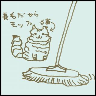 ���b�v�͂ǂ��ł��@���Ē��֗��̃T���l�C���摜