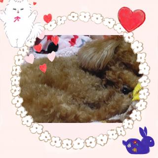 �킽���̑��_��̃T���l�C���摜