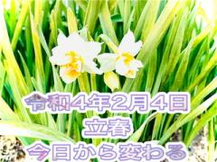 ��������M���́IR4.2.4.���̂̃T���l�C���摜